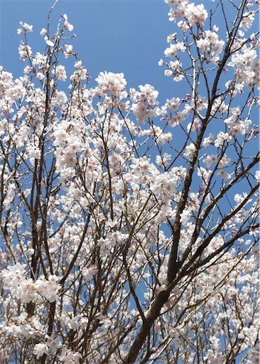 f:id:bento-hajime:20200322082737j:image f:id:bento-hajime:20200322082737j:image
