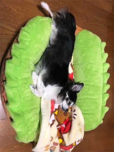 f:id:bento-hajime:20210313114817j:image f:id:bento-hajime:20210313114817j:image