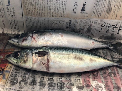 f:id:bento-hajime:20210317092433j:image f:id:bento-hajime:20210317092433j:image