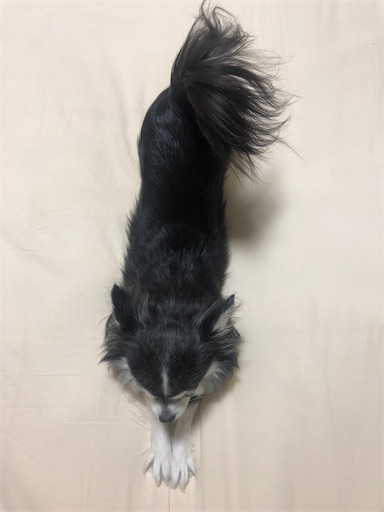 f:id:bento-hajime:20210324075618j:image