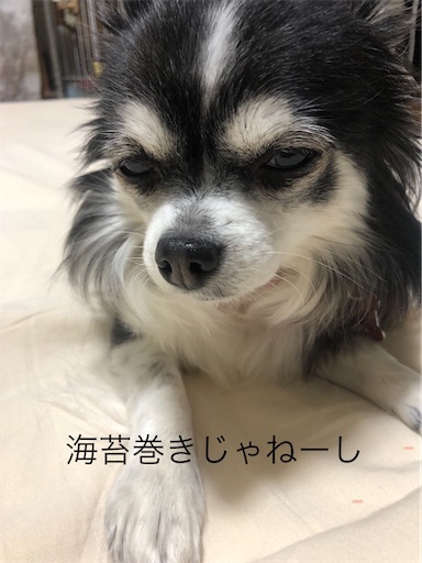 f:id:bento-hajime:20210324075643j:image