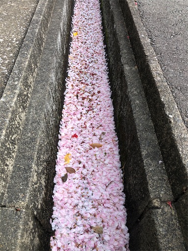 f:id:bento-hajime:20210405192234j:image f:id:bento-hajime:20210405192234j:image