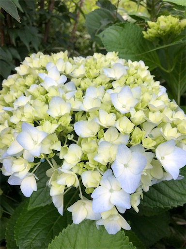 f:id:bento-hajime:20220610195744j:image f:id:bento-hajime:20220610195744j:image