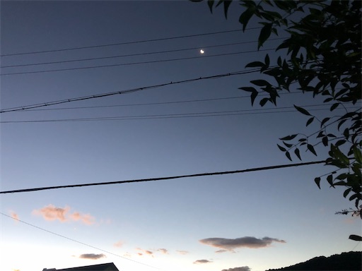 f:id:bento-hajime:20220724210327j:image