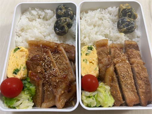 f:id:bento-hajime:20230523114436j:image