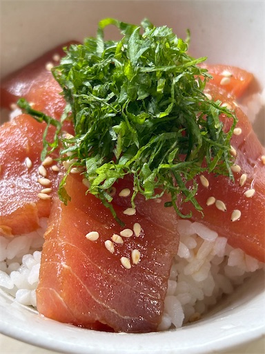 f:id:bento-hajime:20230831112101j:image