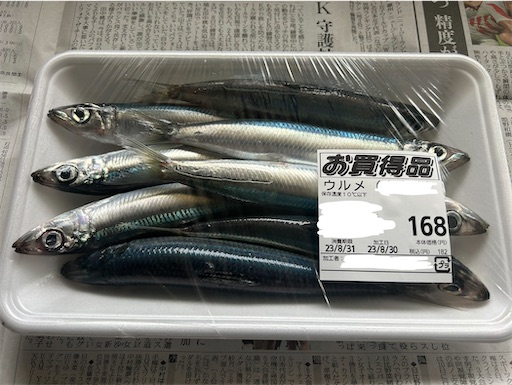 f:id:bento-hajime:20230901170924j:image