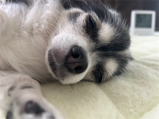 f:id:bento-hajime:20230917102309j:image f:id:bento-hajime:20230917102309j:image