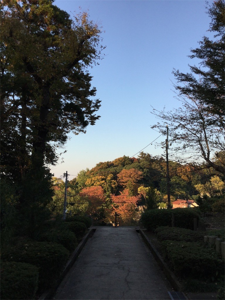 f:id:benton:20171105170727j:image