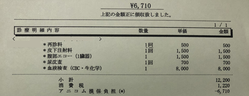 猫の膵炎 治療費明細