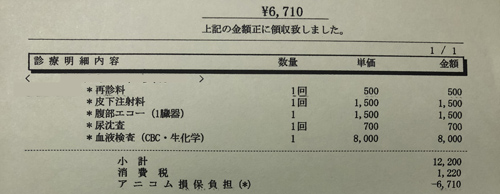 猫の膵炎　治療費明細