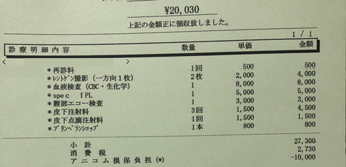 猫の膵炎　治療費明細