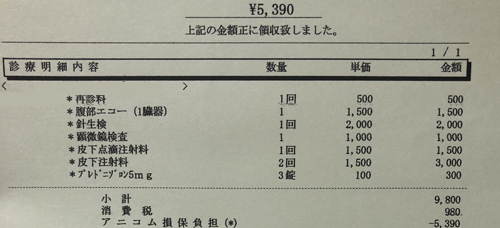 猫の膵炎 治療費明細