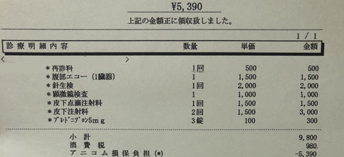 猫の膵炎　治療費明細