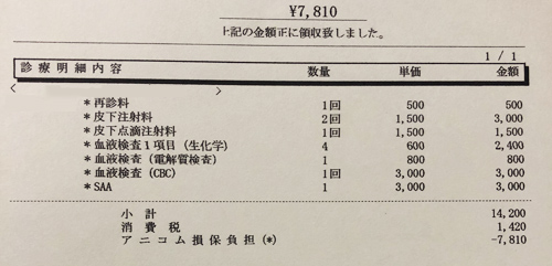 ペット医療費 領収証