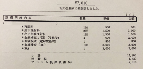 ペット医療費　領収証