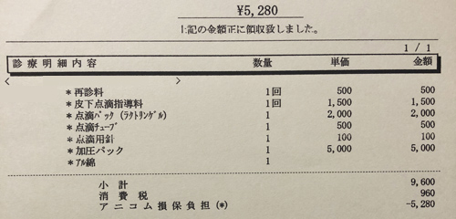 ペット医療費　領収証