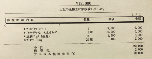 ペット医療費　領収証