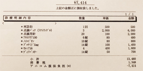 ペット医療費　領収証