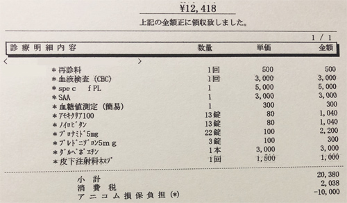 ペット医療費　領収証