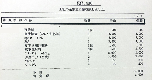 ペット医療費 領収証