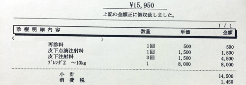 ペット医療費　領収証