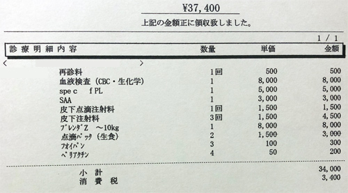 ペット医療費　領収証