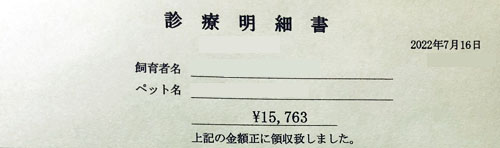 動物病院　領収証