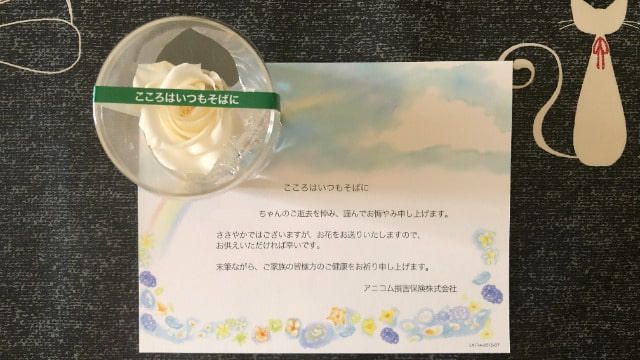 アニコム 解約時お見舞いのお花
