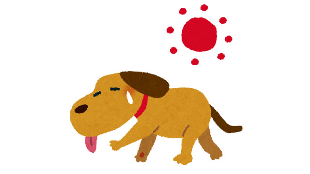 カバー