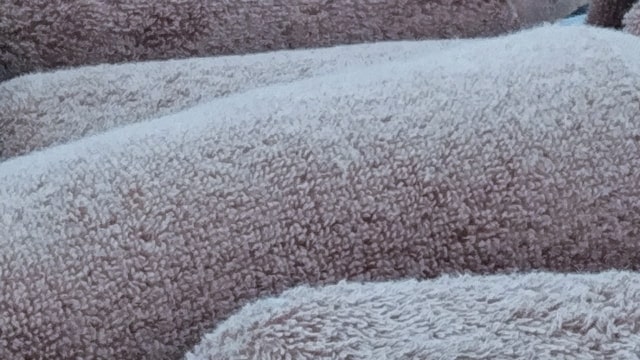 カバー