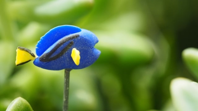 カバー
