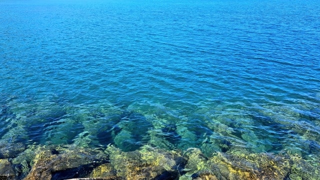 奄美大島の海