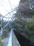 哲学の道2