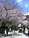 f:id:beppedeska:20050404133758:image