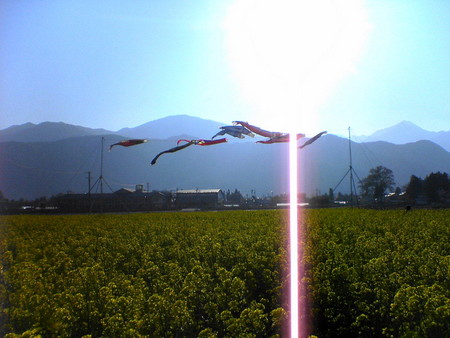 f:id:beppedeska:20070429164416j:image:w300