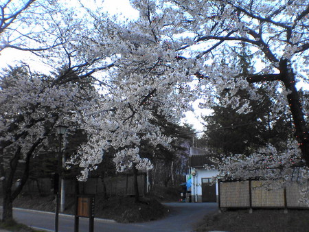 f:id:beppedeska:20070429175757j:image:w300