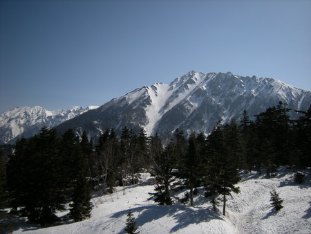 f:id:beppedeska:20080429083312j:image