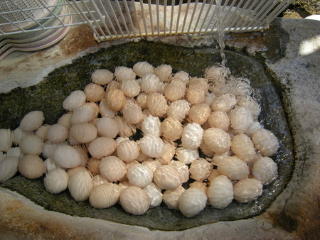 f:id:beppedeska:20080429095101j:image