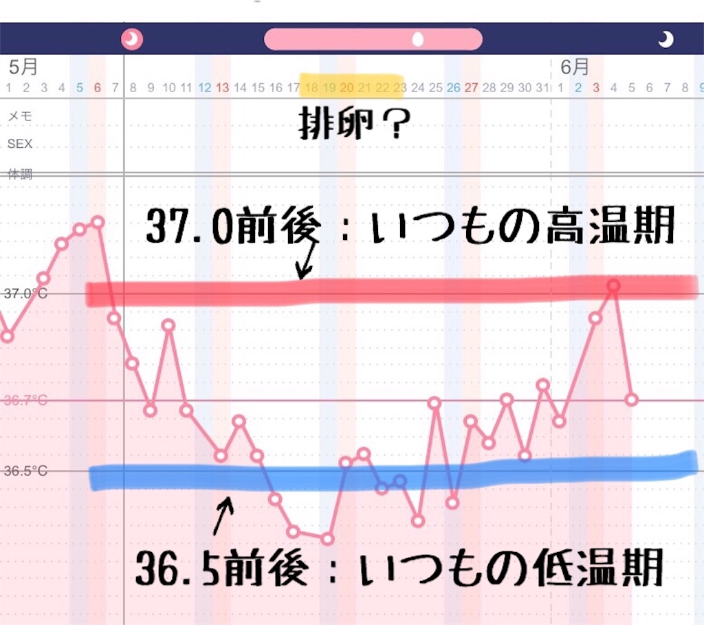f:id:bequiet-screamnow:20180605132024j:plain f:id:bequiet-screamnow:20180605132024j:plain