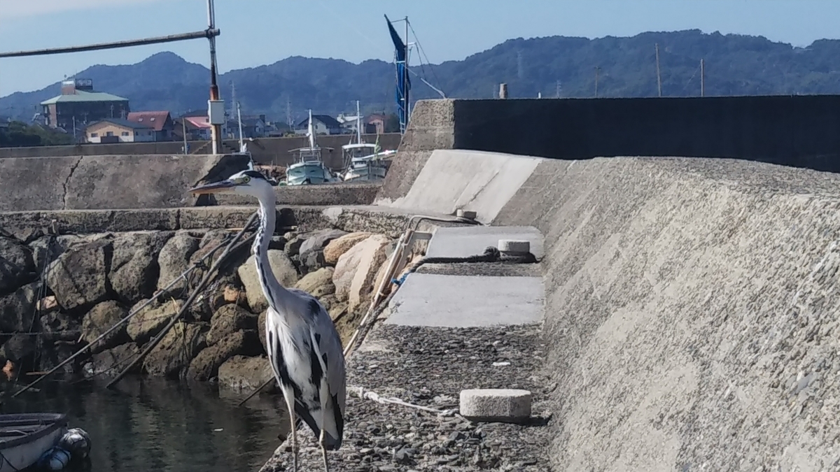 f:id:berao-setouchi-fishing:20191012102036j:plain