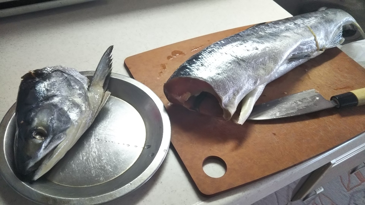 f:id:berao-setouchi-fishing:20191027144337j:plain f:id:berao-setouchi-fishing:20191027144337j:plain