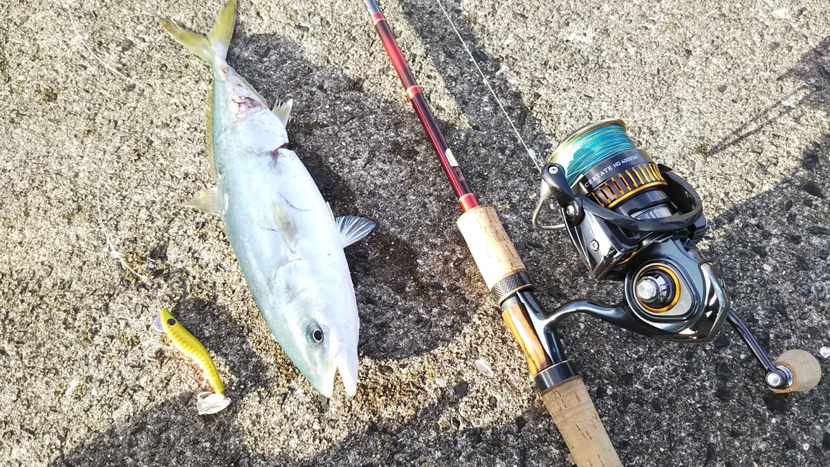 f:id:berao-setouchi-fishing:20191031231615j:plain