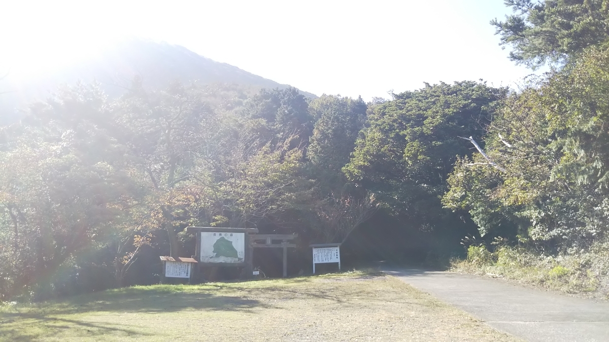 f:id:berao-setouchi-fishing:20191107160200j:plain