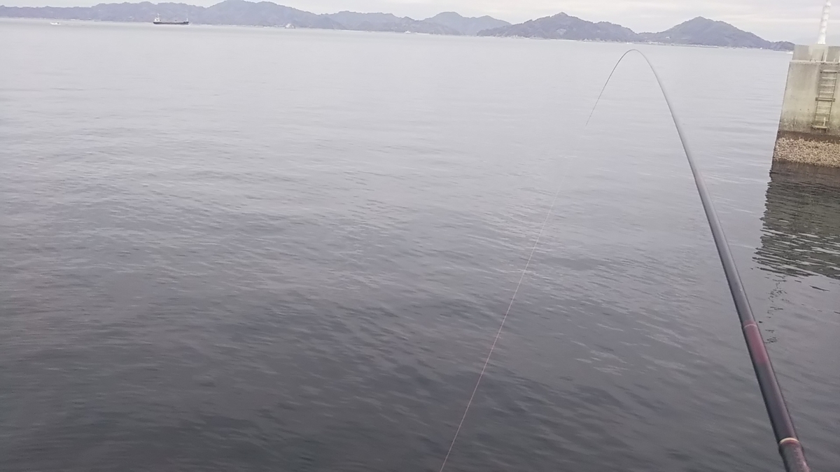 f:id:berao-setouchi-fishing:20200119211546j:plain