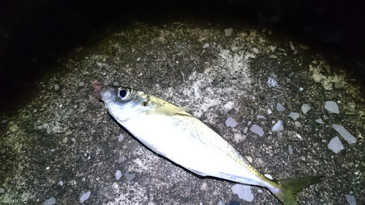 f:id:berao-setouchi-fishing:20200323005206j:plain