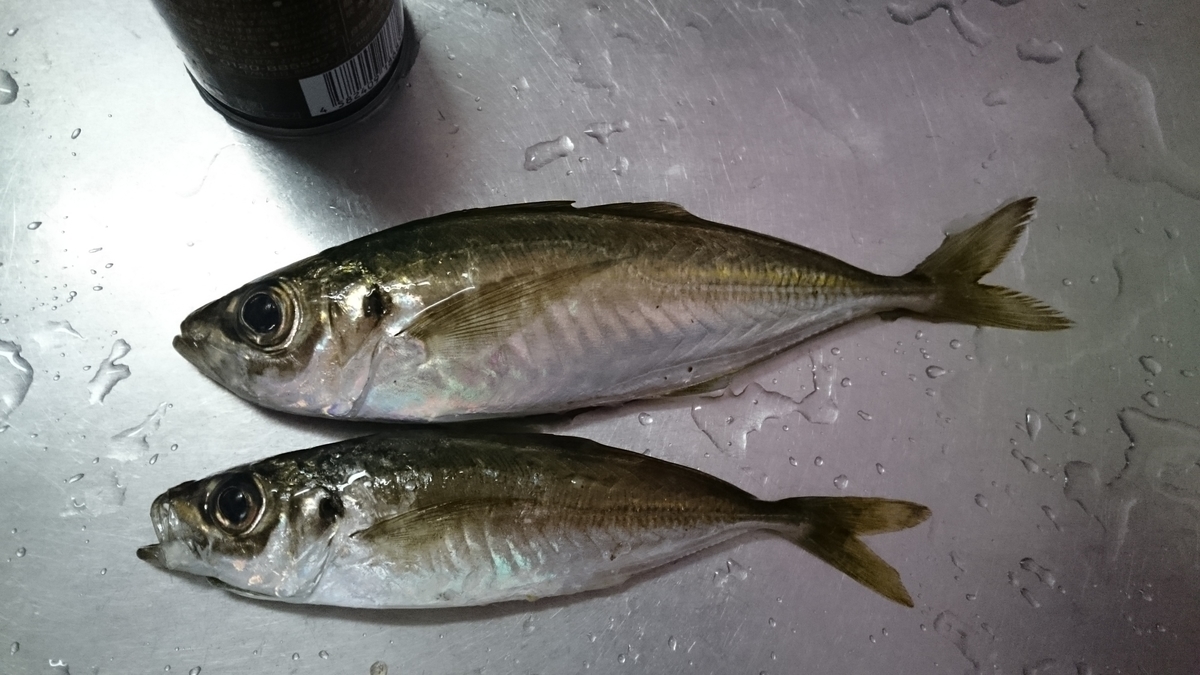 f:id:berao-setouchi-fishing:20200323005423j:plain