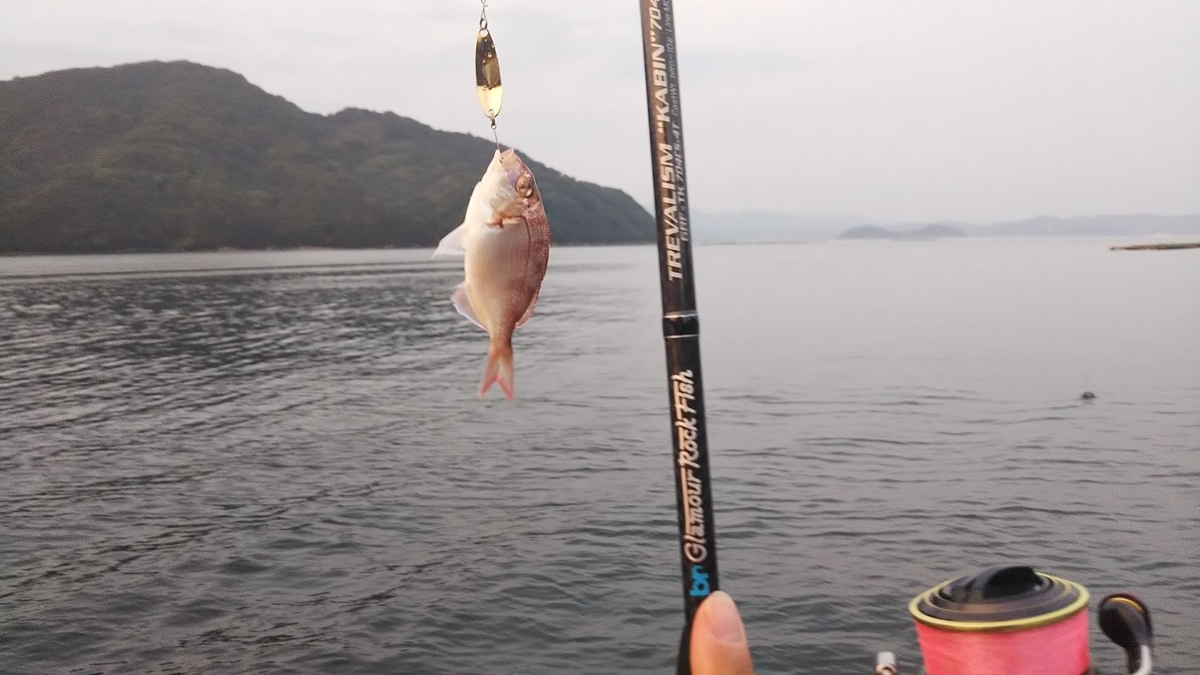 19年に瀬戸内で釣れた魚を振り返ってみた 魚種のバラエティーが豊富で瀬戸内海のポテンシャルの高さを再認識した たまべら たまにはベラ以外も 釣りたい 19年に瀬戸内で釣れた魚を振り返ってみた 魚種のバラエティーが豊富で瀬戸内海のポテンシャルの高さを再認識した たまべら たまにはベラ以外も 釣りたい