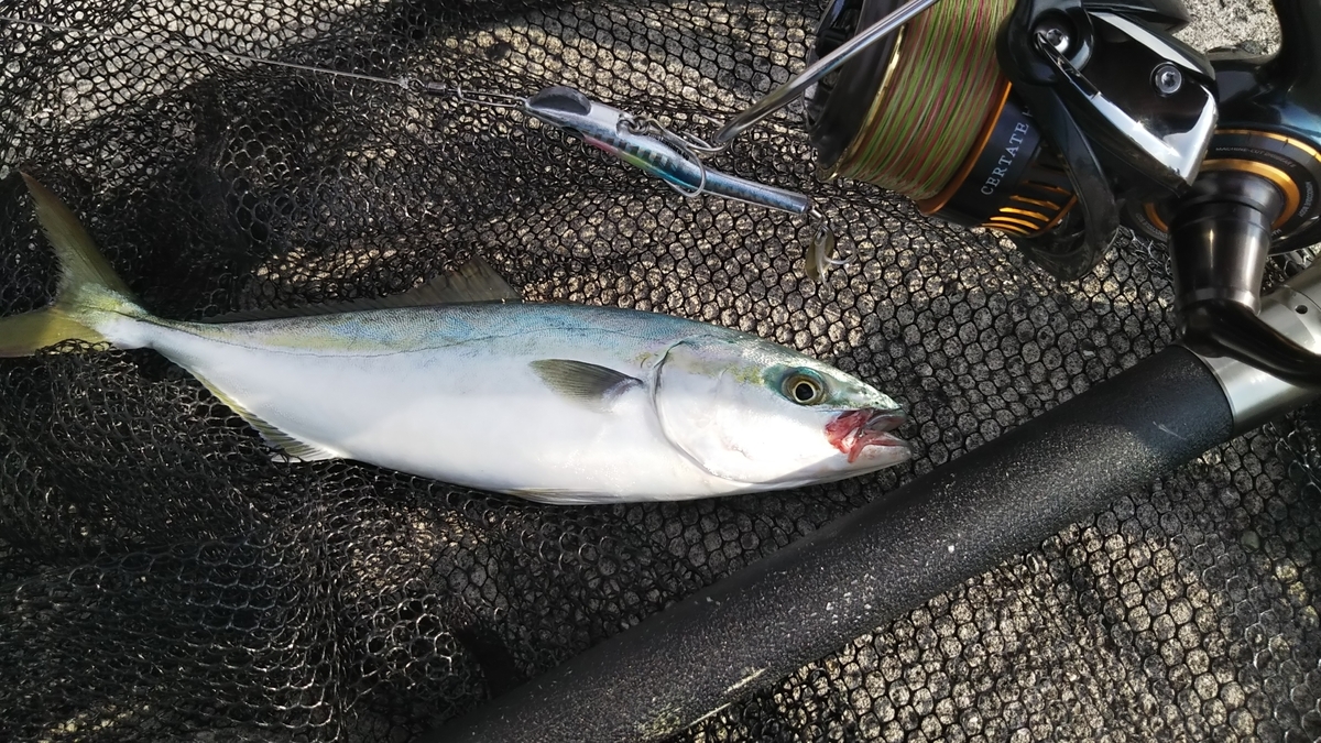 f:id:berao-setouchi-fishing:20200616204623j:plain