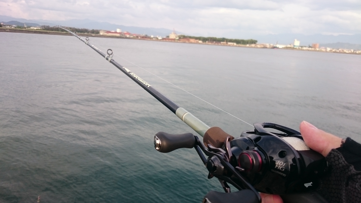 f:id:berao-setouchi-fishing:20200728033003j:plain